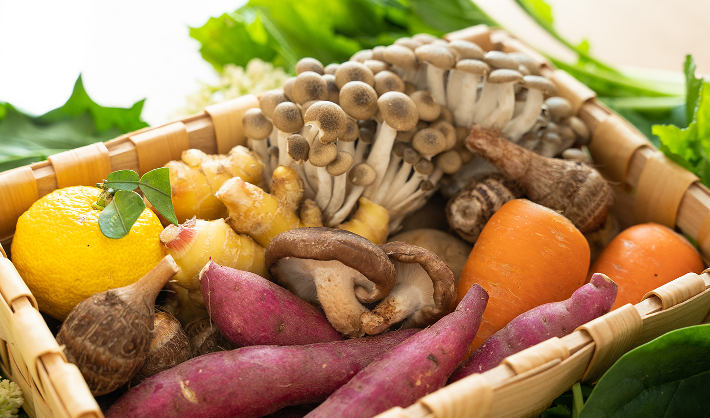 タベルト店 朝一のお知らせ 有限会社京美 Vegetable Style タベルト店 朝一のお知らせ 有限会社京美 Vegetable Style